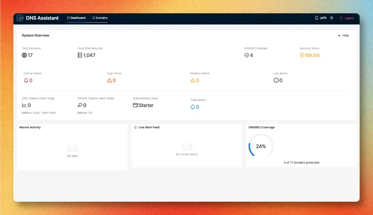DNS Assistant screenshot 1