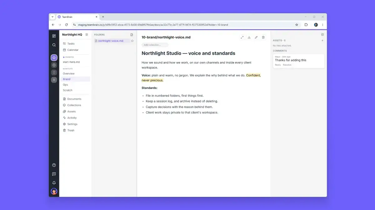 TeamBrain screenshot 2